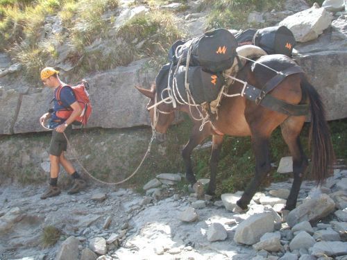 trekking con i muli-70.JPG